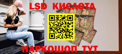 mdpv Бердск
