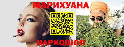 крисы Боровичи