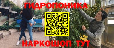 mdpv Бердск