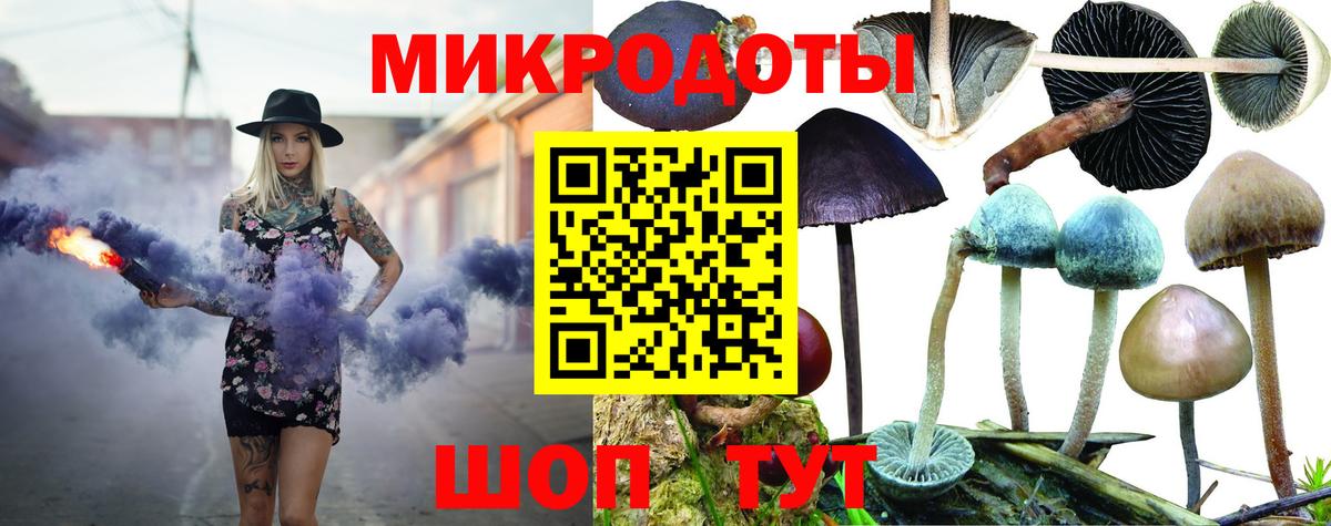 Галлюциногенные грибы Psilocybine cubensis Гуково